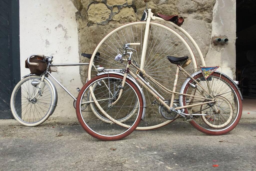 Tour De France Historique Et Chateaux De Loire Orléans Eksteriør billede